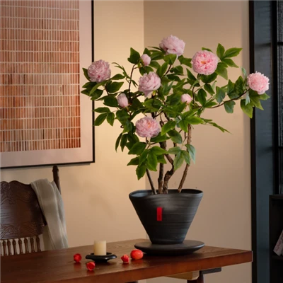Keinotekoinen pioni bonsai