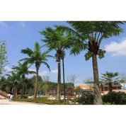 Keinotekoinen Coco Tree