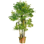 Keinotekoinen Fishtail palmu