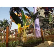 Keinotekoinen matkustavat puu