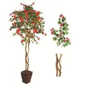 Silkki Bougainvillea puu